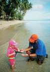 Jean-Michel Cousteau Fiji Islands Resort 